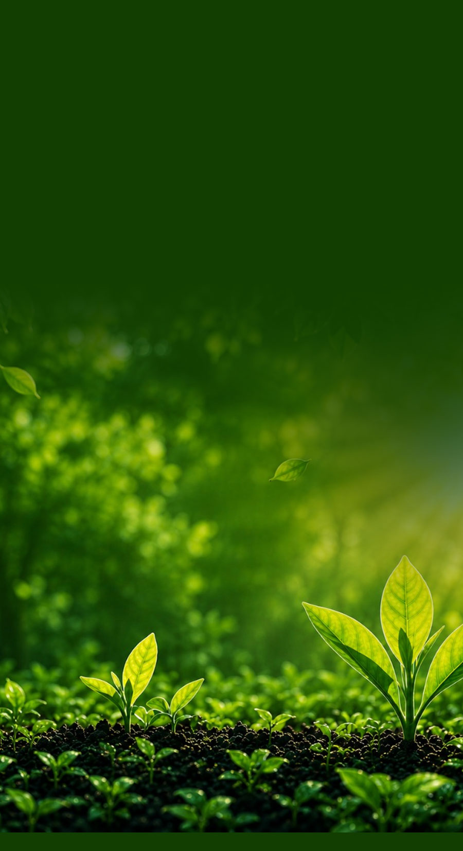 banner_02